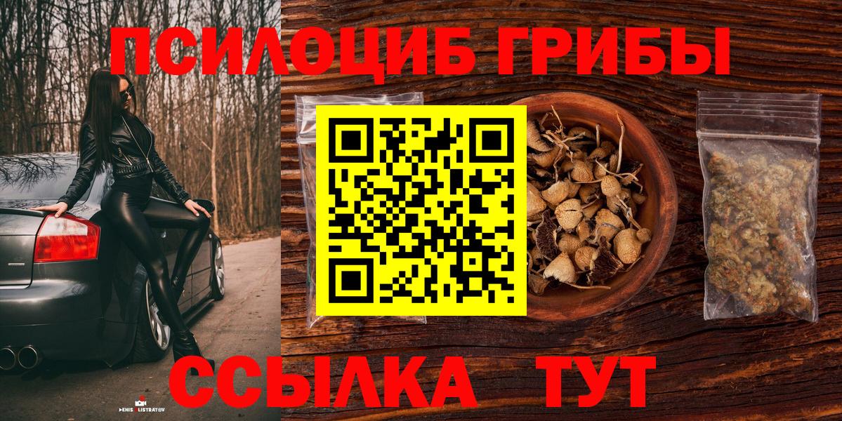 Богородск  Галлюциногенные грибы Cubensis  Галлюциногенные грибы мухоморы  купить  сайты  Вход с VPN 
